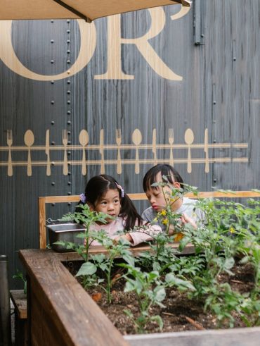 choisir la jardinière parfaite pour embellir votre terrasse
