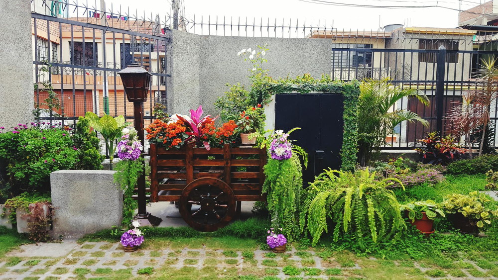 créer un massif moderne devant votre maison 